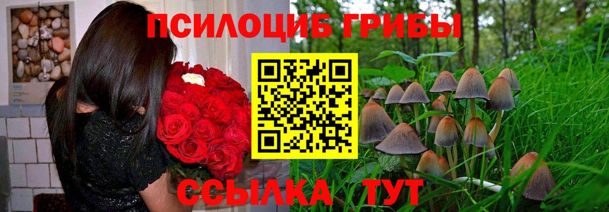 Баксан  Галлюциногенные грибы мицелий  Вход с VPN  Галлюциногенные грибы мицелий 
